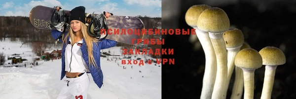 ГАЛЛЮЦИНОГЕННЫЕ ГРИБЫ Сосновоборск