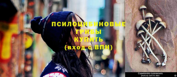 ГАЛЛЮЦИНОГЕННЫЕ ГРИБЫ Сосновоборск