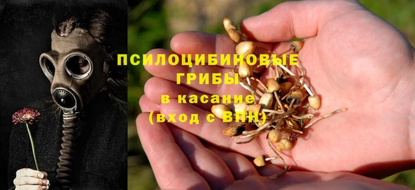 таблы Сосновка