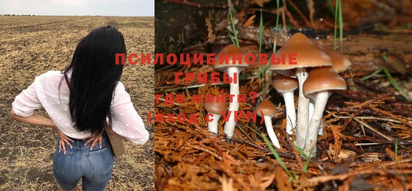 мет Сосновый Бор