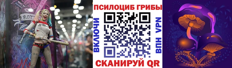 Купить где  Родники  Псилоцибиновые грибы Psilocybine cubensis 