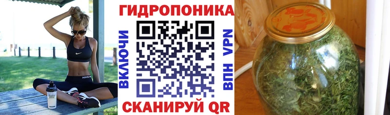 Купить где  Родники  Конопля MAZAR 